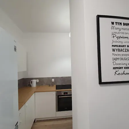 公寓 Duzy Apartament W Centrum Gdyni - Swietojanska 78 格丁尼亚